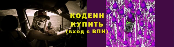 метадон Няндома