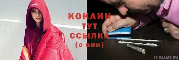 метадон Няндома