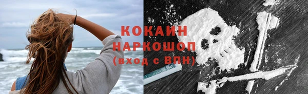 сатива Новокубанск