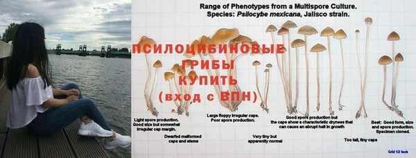 круглые Нягань