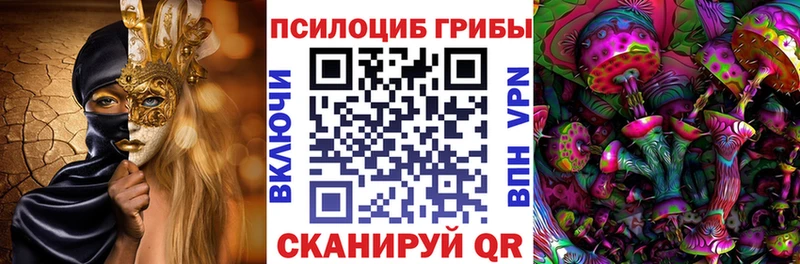 Галлюциногенные грибы Psilocybe  Переславль-Залесский 