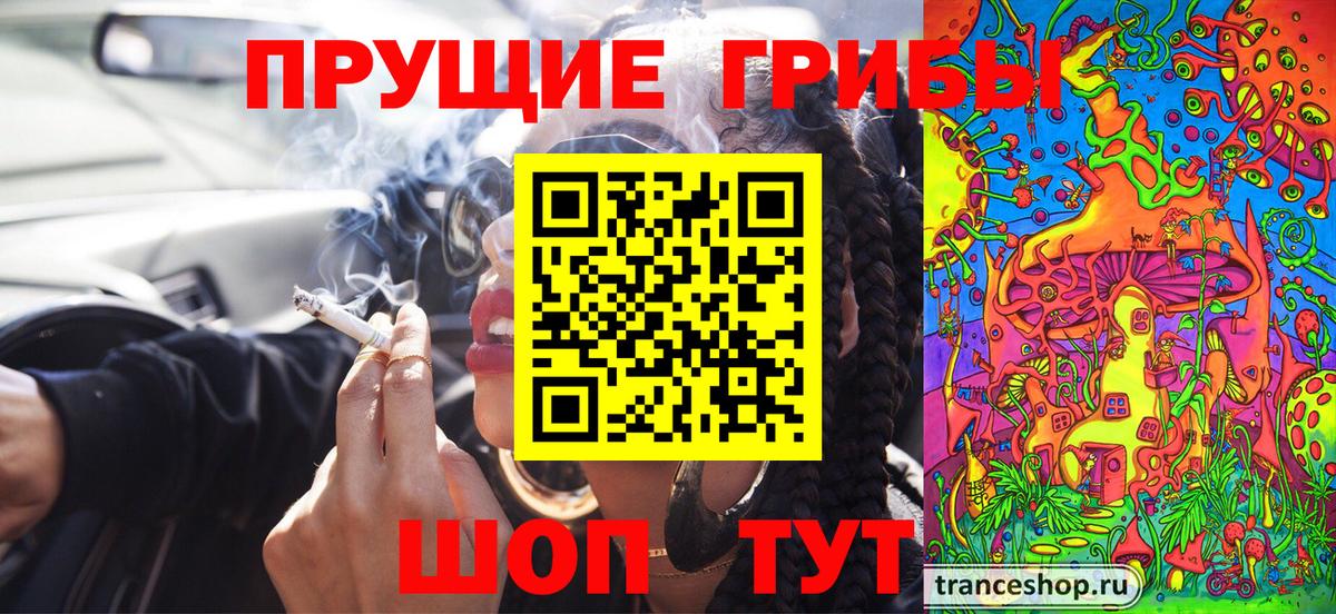 Переславль-Залесский  Псилоцибиновые грибы Psilocybe  Вход с VPN 